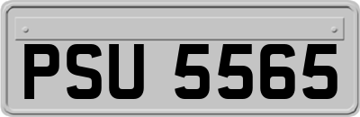 PSU5565