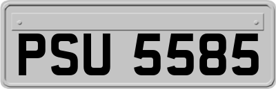 PSU5585