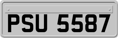 PSU5587