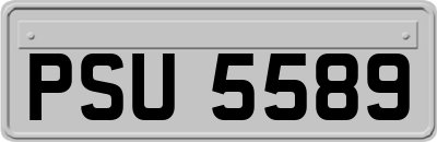 PSU5589