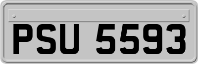 PSU5593