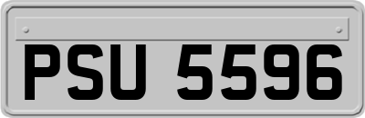 PSU5596