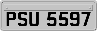 PSU5597