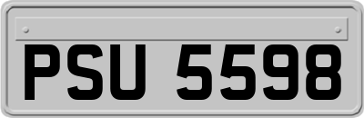 PSU5598