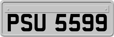 PSU5599