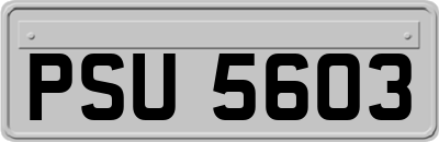 PSU5603