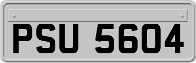 PSU5604
