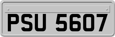 PSU5607