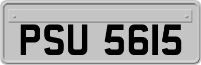 PSU5615