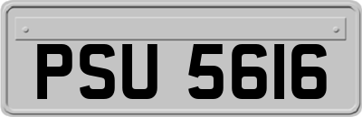PSU5616