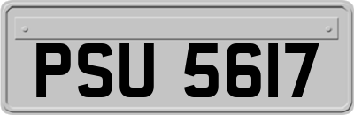 PSU5617