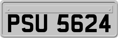 PSU5624