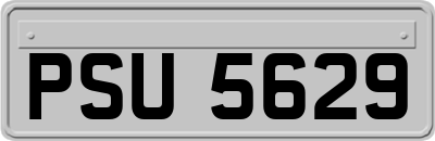 PSU5629