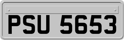PSU5653