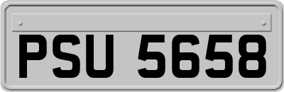PSU5658