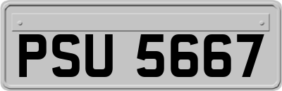 PSU5667