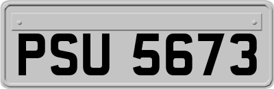 PSU5673