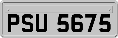 PSU5675