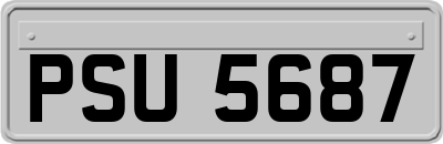 PSU5687