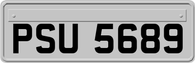 PSU5689