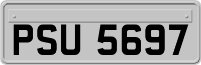 PSU5697