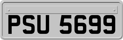 PSU5699
