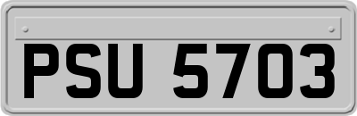 PSU5703