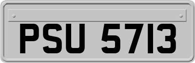 PSU5713