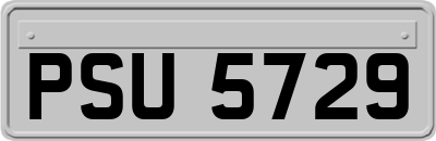 PSU5729