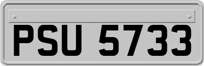 PSU5733