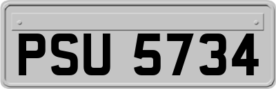 PSU5734