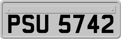 PSU5742