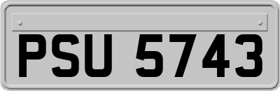 PSU5743