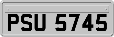 PSU5745