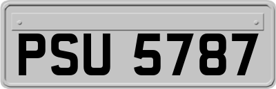 PSU5787