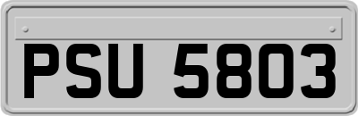PSU5803