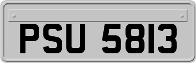 PSU5813