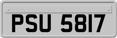 PSU5817