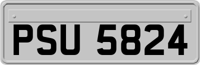 PSU5824