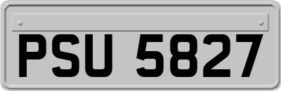 PSU5827