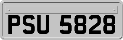 PSU5828