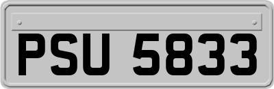 PSU5833