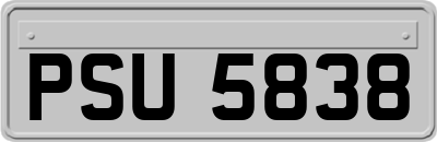 PSU5838