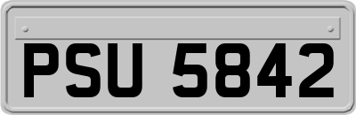 PSU5842