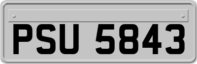 PSU5843