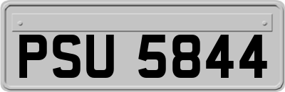 PSU5844