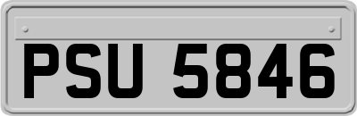 PSU5846