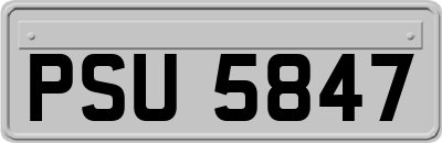 PSU5847