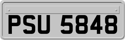 PSU5848