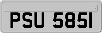PSU5851